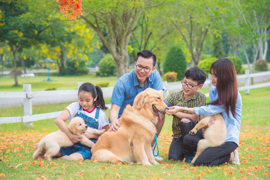 Sân chơi với thú cưng