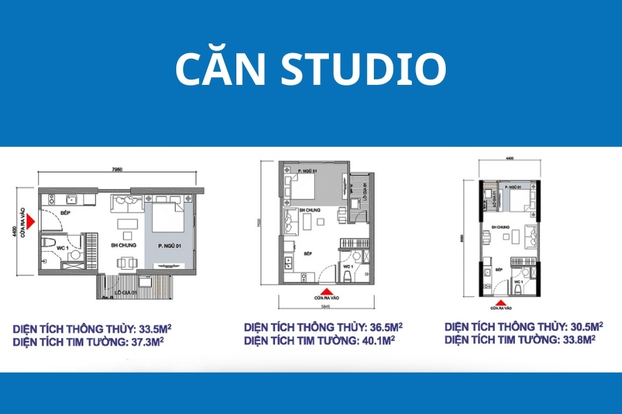 Layout căn studio